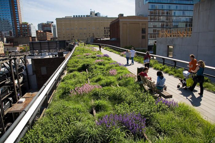 Un jardín en medio de los rascacielos | La línea ferroviaria elevada que se construyó en los años treinta para desarrollar el lado oeste de Manhattan dejó de utilizarse en 1980 y los terrenos quedaron desocupados durante años. En 2009 se inauguró el primer tramo del nuevo jardín elevado que llega hasta el Chelsea Market. Agricultura urbana, clases de pilates, de astronomía, sesiones de fotos y conciertos dan vida a uno de los espacios más modernos y novedosos de Nueva York. Durante el paseo se pueden ver la Estatua de la Libertad y el Empire State Building. La gran transformación de este espacio fue impulsada por el grupo “Friends of the High Line”. Al concurso de ideas se presentaron 720 propuestas de 36 países distintos. Hoy es una visita turística imprescindible.