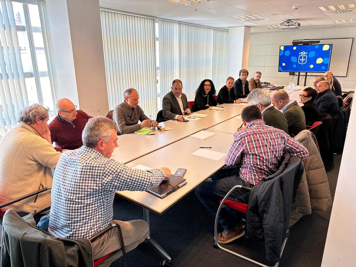 La reunión del grupo de trabajo convocada el pasado marzo por el Principado.