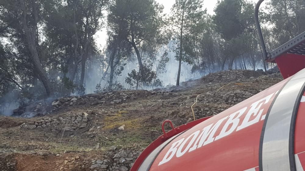 Incendio forestal en Sant Antoni