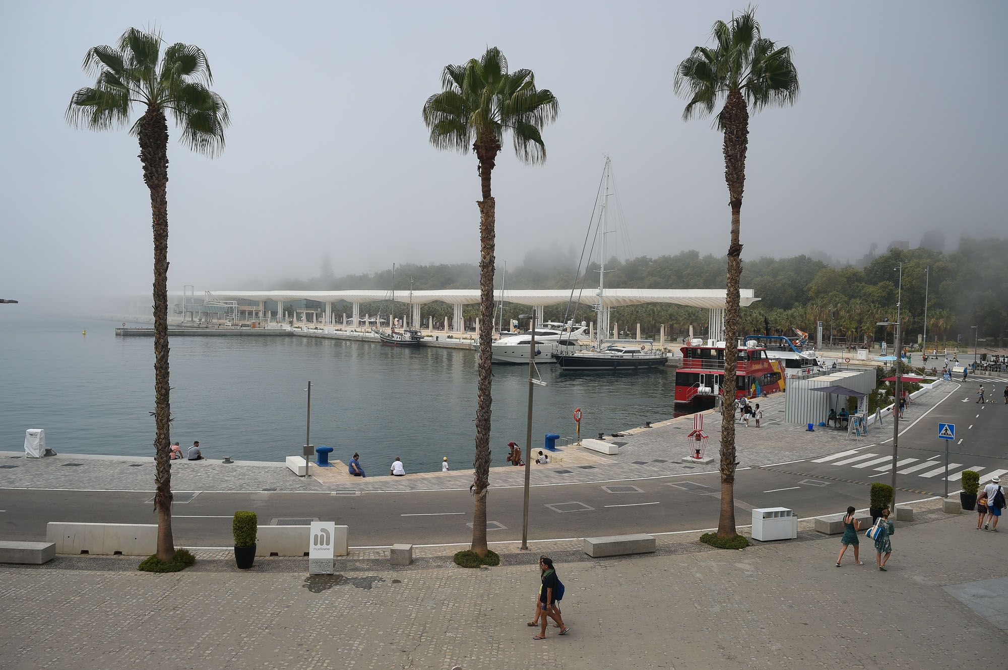 El taró cubre el litoral de Málaga