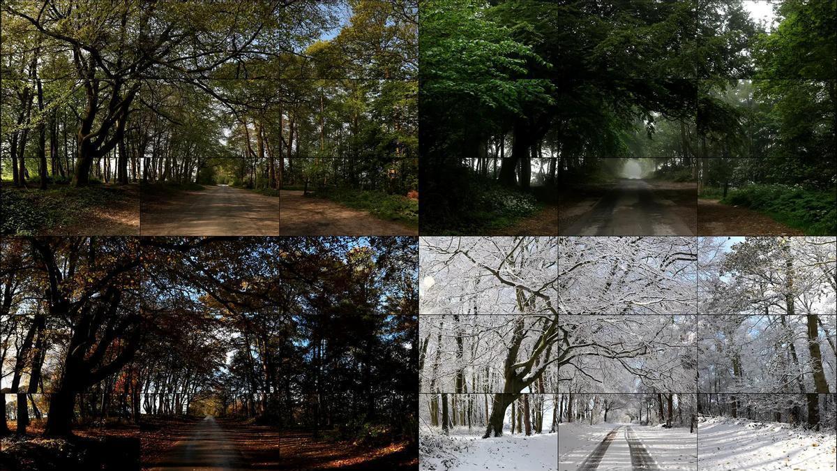 The four seasons Woldgate Woods de David Hockney