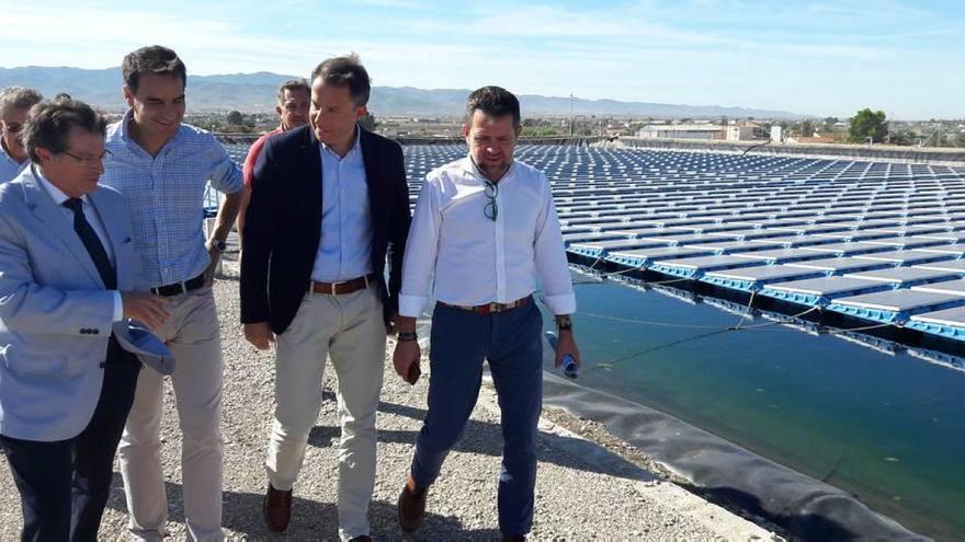 Las explotaciones porcinas de Lorca podrán ampliar sus instalaciones un 20%