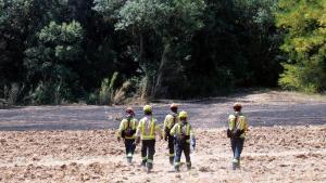 Un grup de Bombers avançant per un camp cremat per rematar punts calents de linterior del perímetre del foc de les Gavarres  Data de publicació: dilluns 06 de juliol del 2026, 13:36  Localització: La Bisbal d’Empordà  Autor: Xavier Pi / Gemma Tubert