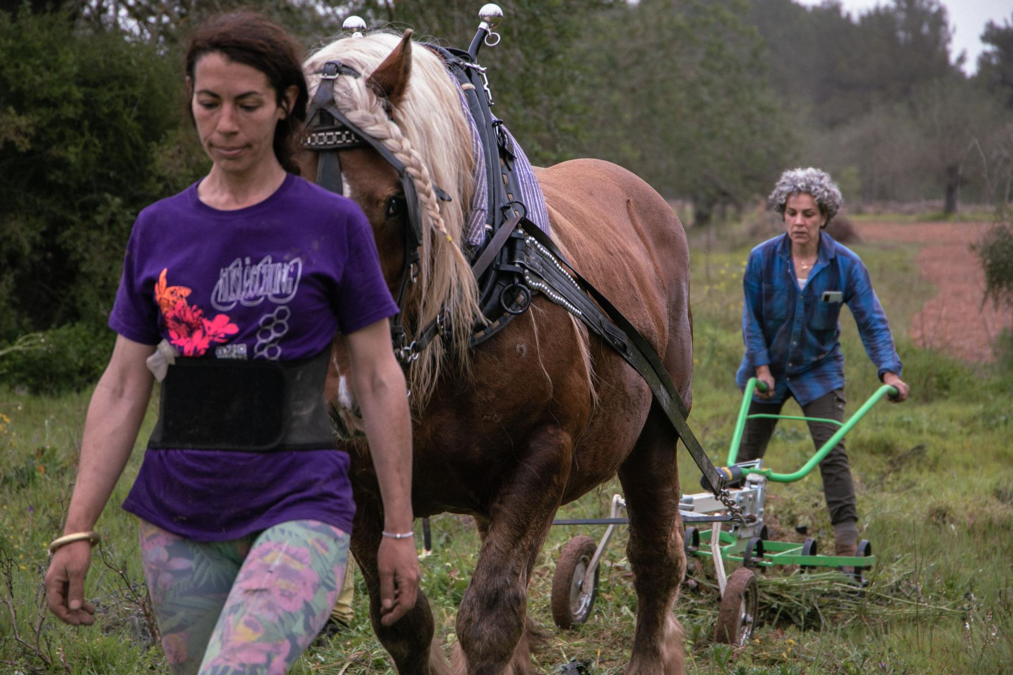 Fotos premiadas en el III certamen de fotografía 'De la mar i de la terra' para visibilizar la mujer rural