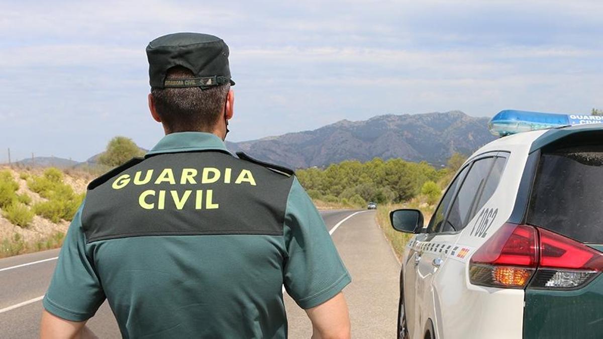 Un agente de la Guardia Civil junto a un vehículo en una carretera.