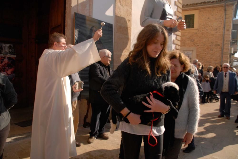 Las imágenes de las Beneïdes de Sant Antoni en la Part Forana