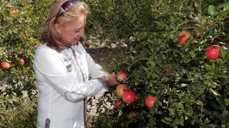 La jefa de cocina de La Finca, Susi Díaz, fue la encargada de cortar la primera granada de la temporada.