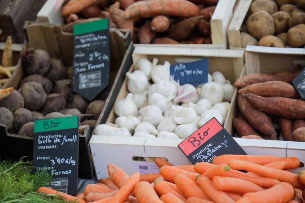 Diez años del Mercat Eco de la plaza de los Patines de Palma