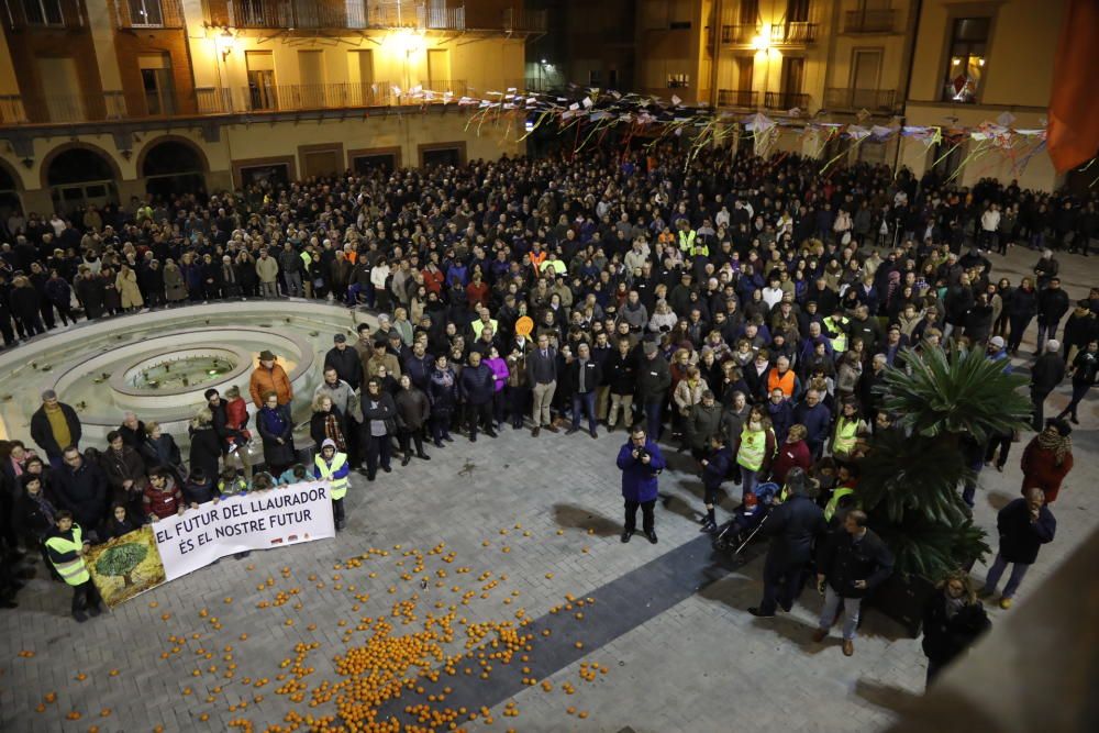 Protesta de citricultores en Castelló