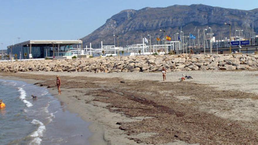 Playa para perros en Dénia.