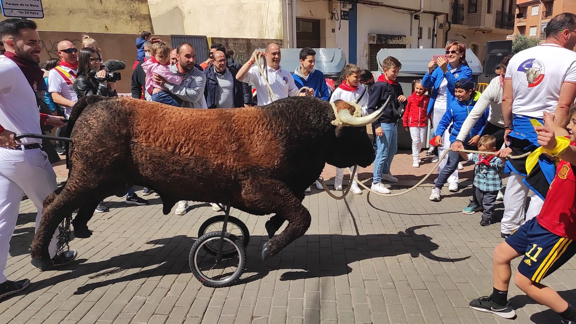 Imperioso, el carretón gigante de la Escuelas Taurinas de Benavente