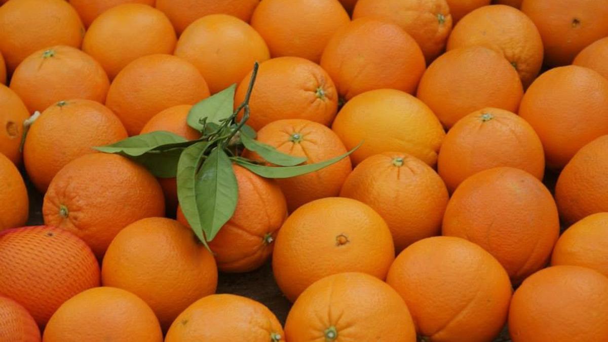 Archivo - Naranjas.
