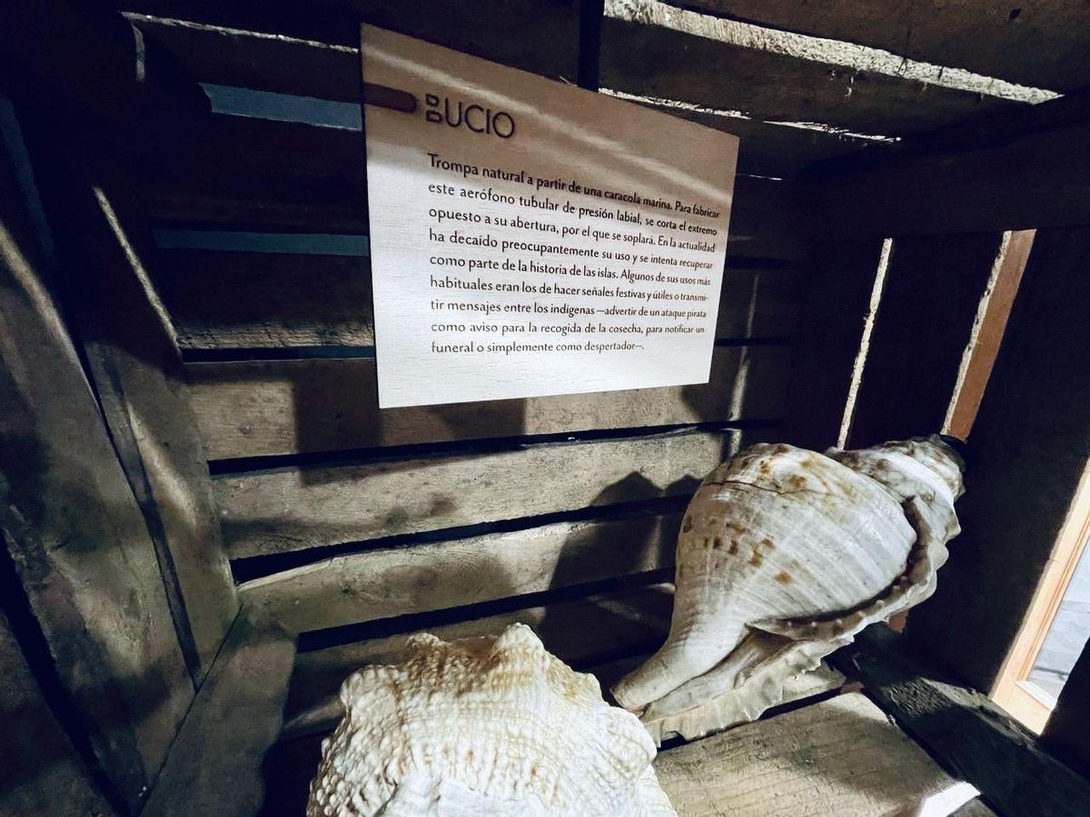 La exposición abrirá sus puertas el lunes 18