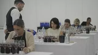 Así se examina la calidad de 42 vinos de Gran Canaria