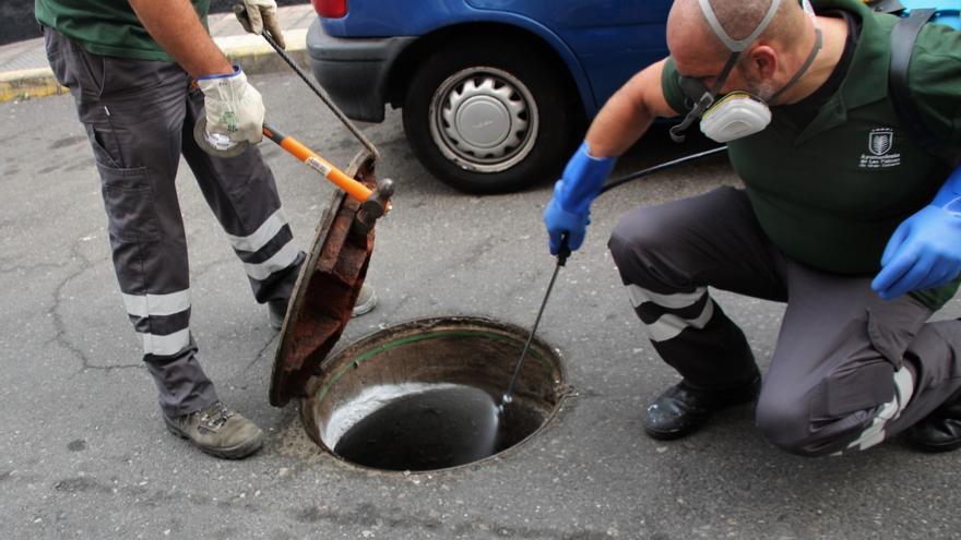 Salud Pública realiza en el último mes 115 actuaciones de control de plagas en 40 barrios de la ciudad