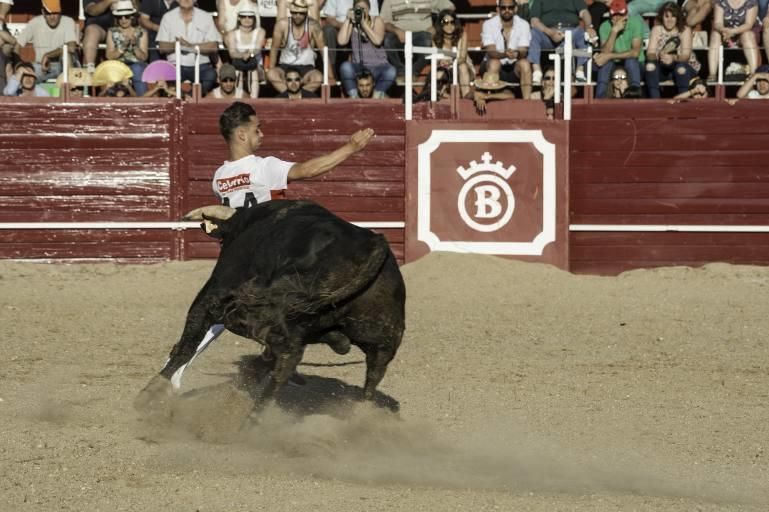 Concurso de cortes en la Plaza de Toros de Benaven