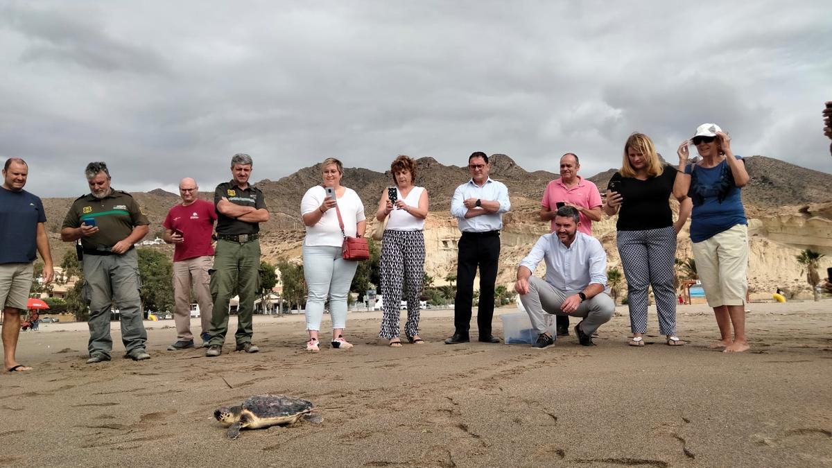 Liberación de un ejemplar juvenil de tortuga boba (&#039;caretta caretta&#039;) en Bolnuevo, Mazarrón (Murcia)