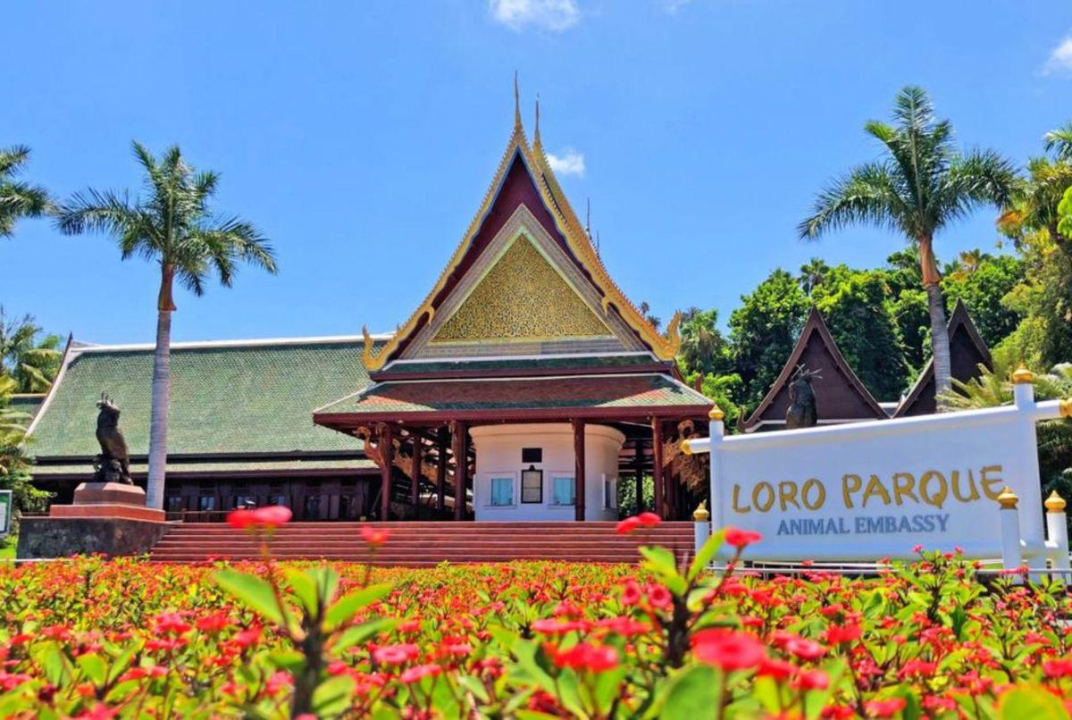 Loro Parque main entrance. | | ED
