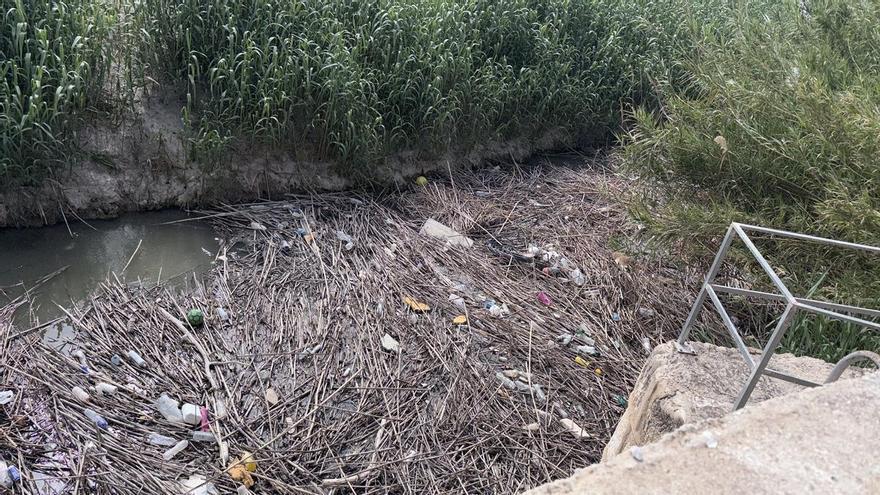  acumulan en el río Segura a su paso por Orihuela ante la falta de redes de flotantes en municipios aguas arriba