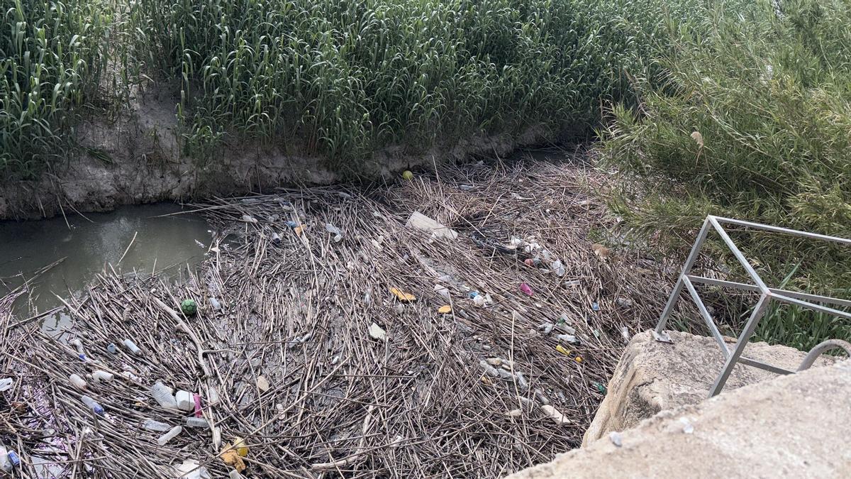 Residuos acumulados en la acequia Alquibla en Orihuela