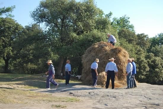 Festa del Segar i el Batre