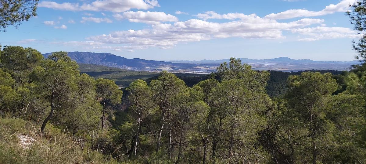 Imagen zona este de Sierra Espuña.