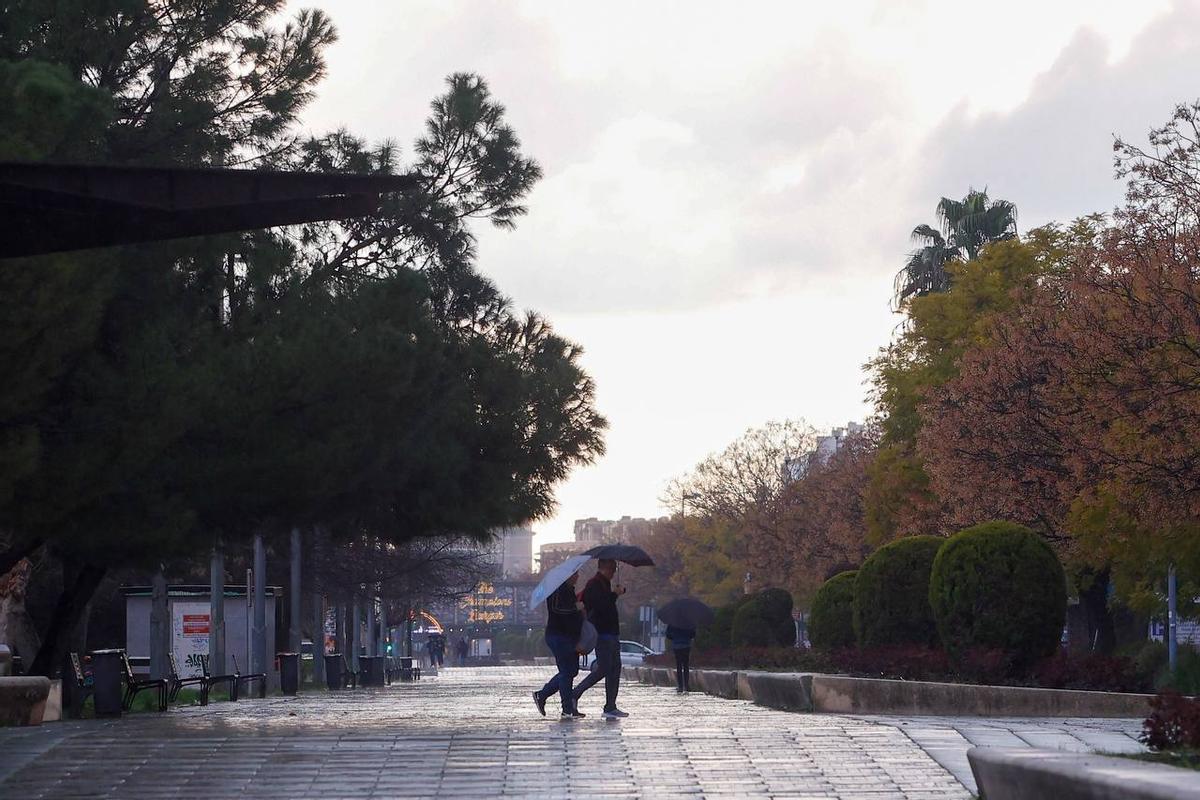 Estos son los municipios de Córdoba donde más ha llovido al paso de la borrasca Jana