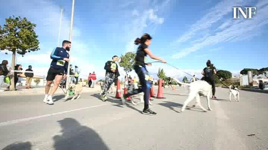 'Can We Run': Gran carrera de perros para la concienciación animal