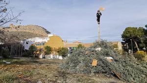 Pelelemón, el ganador del I Concurso de Peleles de San Antón Jaén 2024