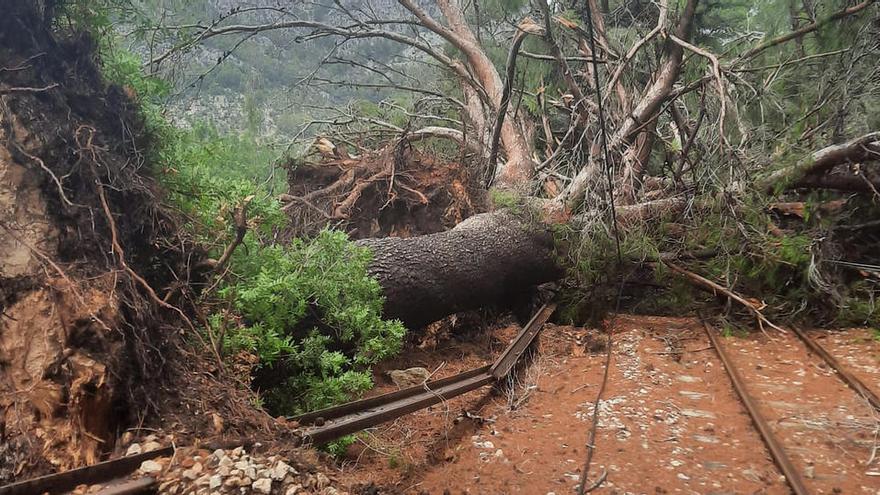 Auf der Strecke des Sóller-Zuges von Palma de Mallorca durch die Tramuntana hat der Sturm am Samstag (29.8.) gewütet und schwere Schäden angerichtet.