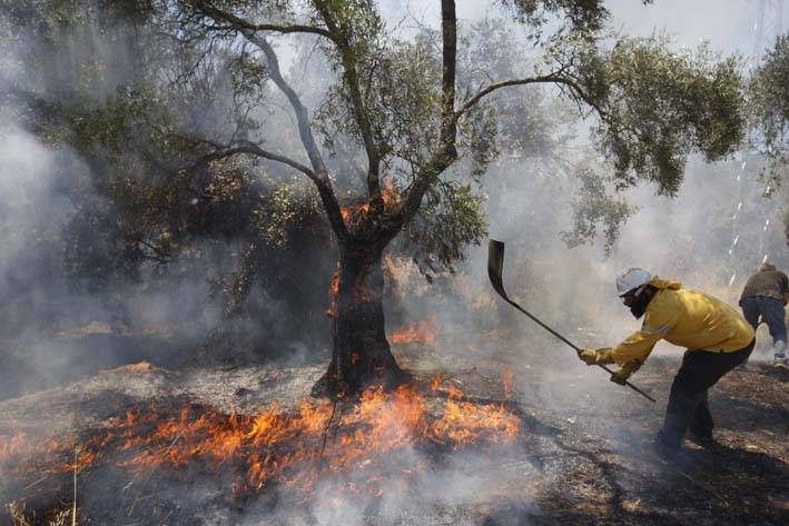 Las imágenes del incendio en el entorno del hospital de Los Morales.