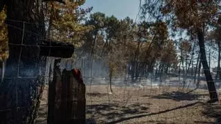 El incendio de Lozoyuela está estabilizado y sin llamas activas tras calcinar unas 770 hectáreas