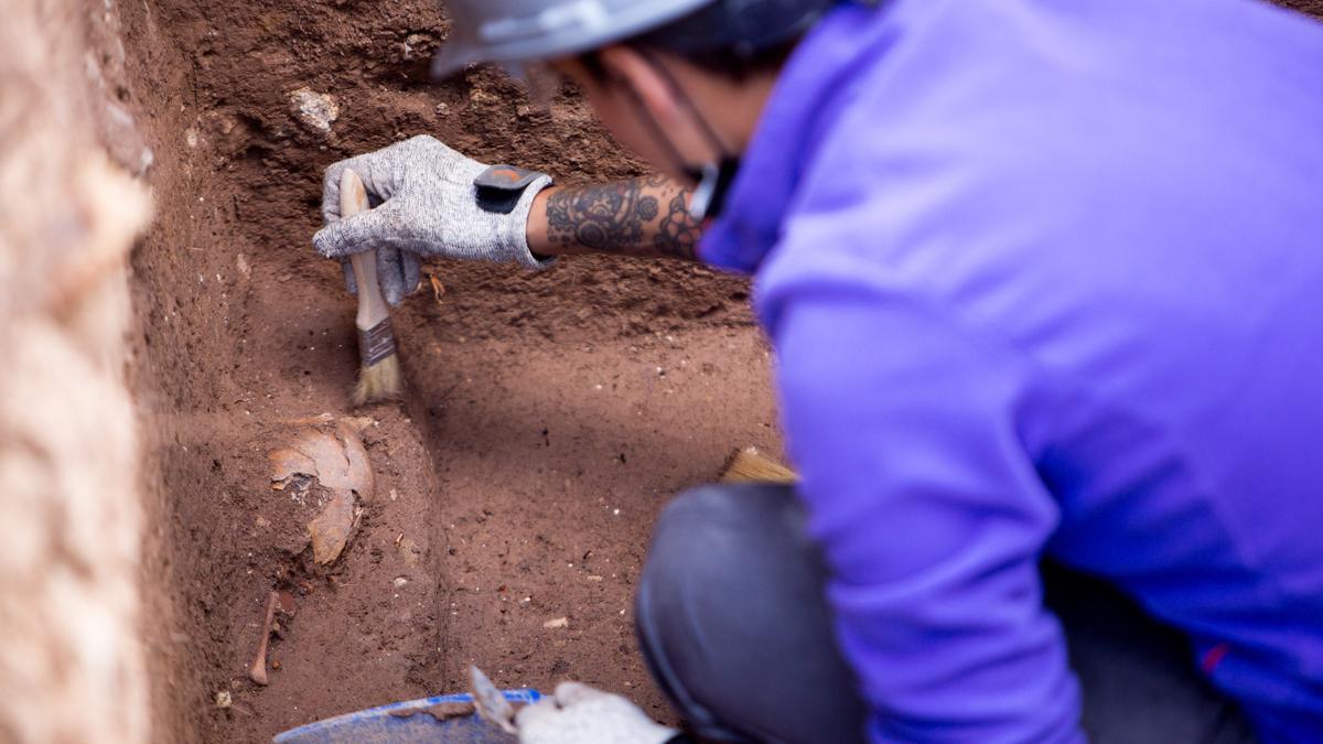 Trabajos de exhumación de cuerpos de represaliados de la Guerra Civil de Aspe y Elda