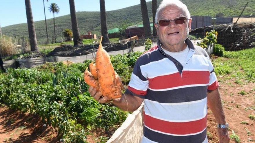 Huertos que dan la vida en Agüimes