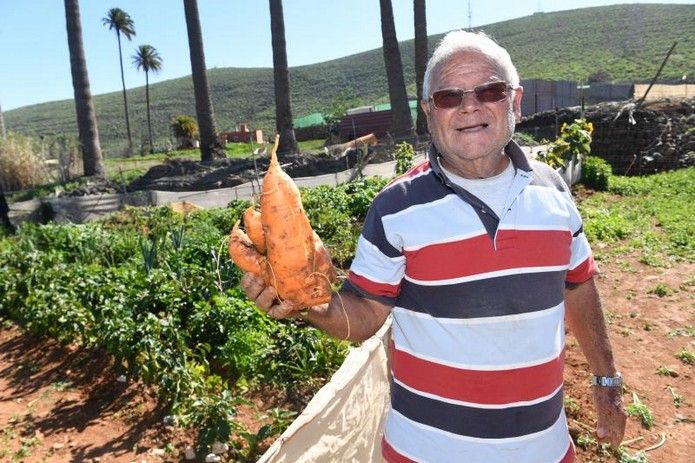 Huertos que dan la vida en Agüimes