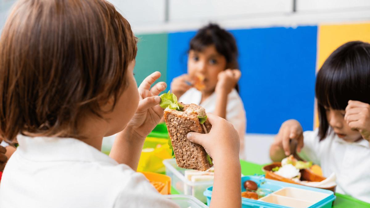 Alimentación escolar con criterio: cada plato cuenta para su salud y su aprendizaje