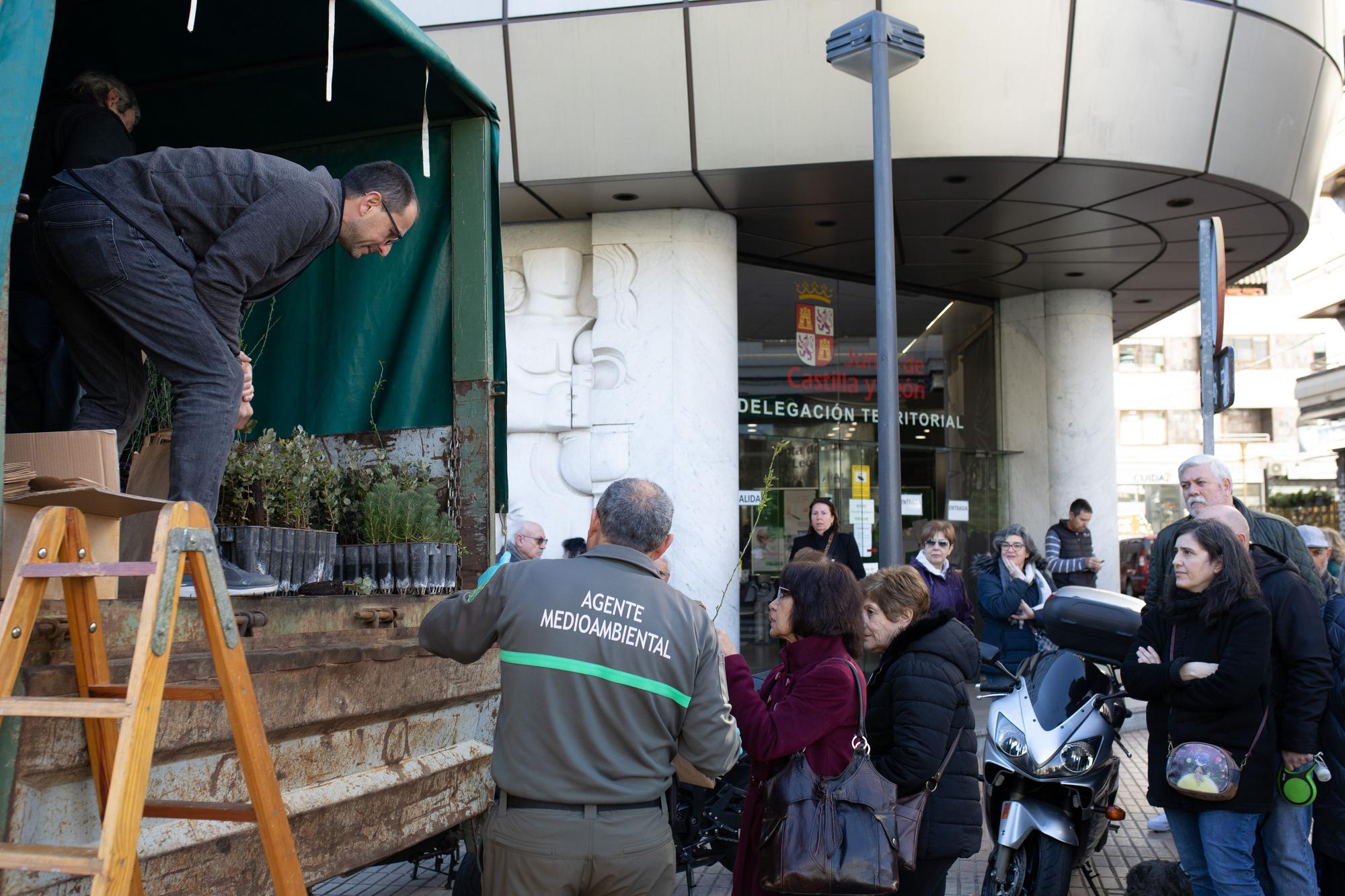 GALERÍA | Así celebra Zamora el Día del Árbol