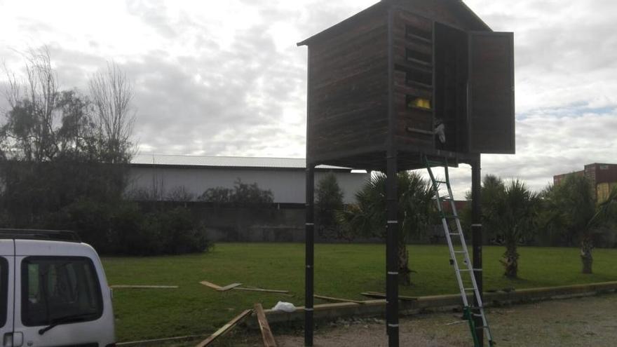 Capturan 210 palomas para ubicarlas en los parques