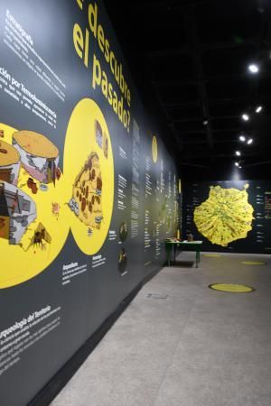 09-04-19 LAS PALMAS DE GRAN CANARIA. MUESEO DE LAS CIENCIAS. Exposición 'El legado de Atindamana?  | 09/04/2019 | Fotógrafo: Juan Carlos Castro