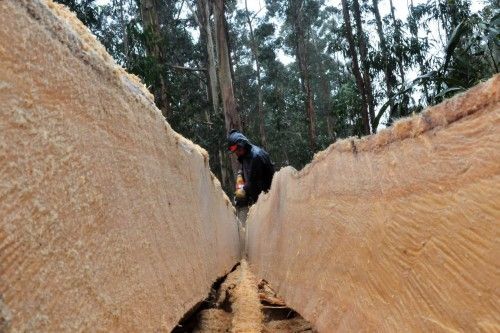 Construcción de una batea en Arousa