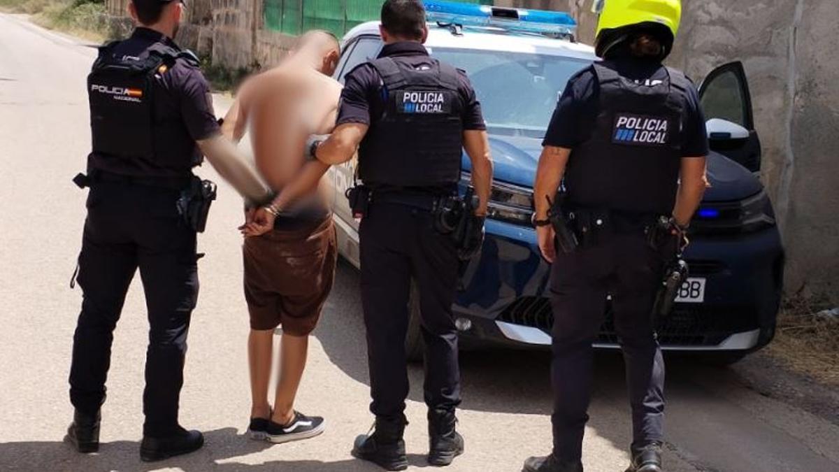 La Policía Nacional detiene a una hombre en Manacor que poseía una plantación de marihuana y varias armas