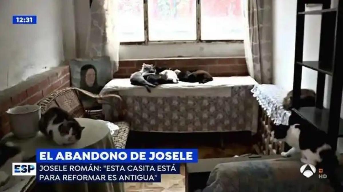 Josele Román enseñó su casa en un reporta de 'Espejo Público'