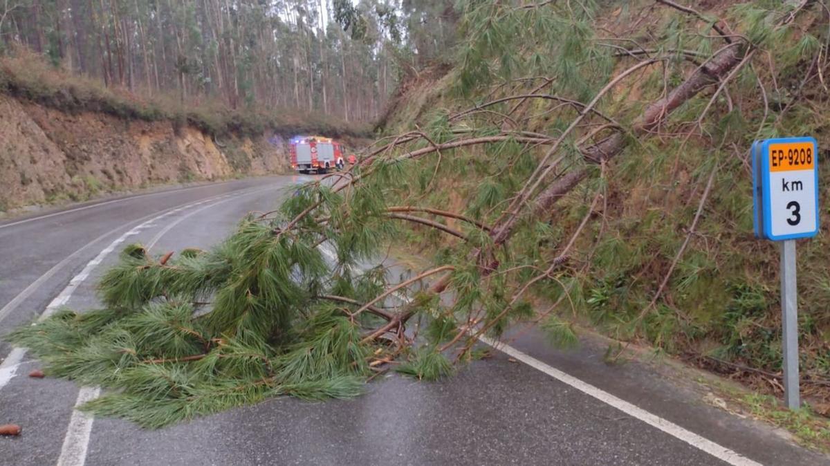 Uno de los árboles caídos sobre las carreteras, en este caso en Sanxenxo.