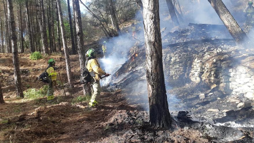 El Infoca da por controlado el incendio de Alcaucín y amplía medios en el de Mijas