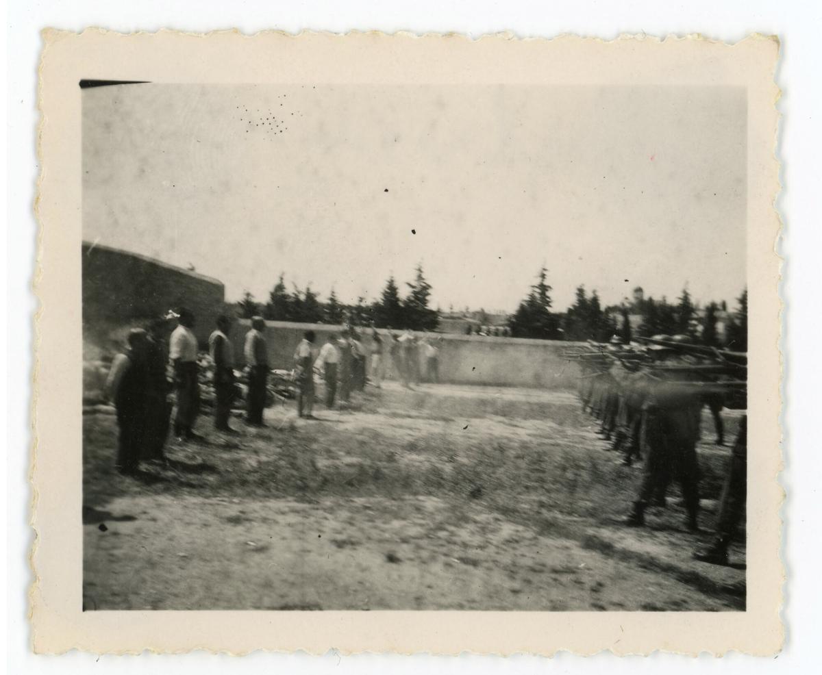 La existencia de las fotografías se reveló hace dos semanas al ponerlas a la venta un coleccionista privado.