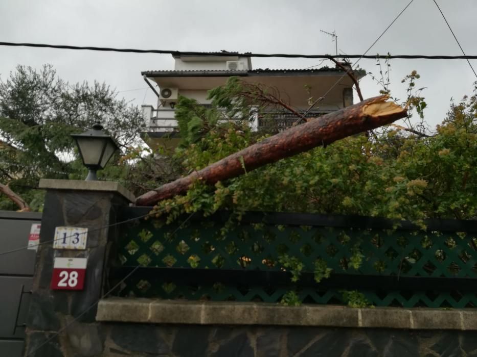 Destrosses a Riells i Viabrea per un tornado