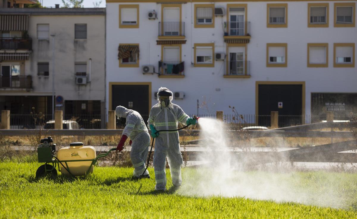Dos trabajadores durante las labores de fumigación contra los mosquitos