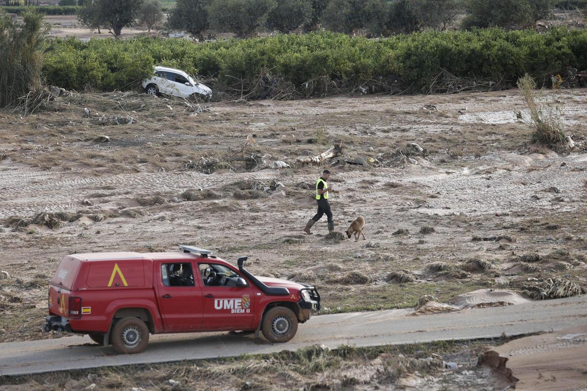 Efectivos de la UME inspeccionan el barranco del Poyo a su paso por Riba-roja, el 1 de noviembre.