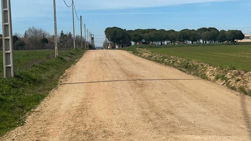 Camino agrícola de Morales a Pontejos en el que se acometerán las obras de reforma. | Cedida