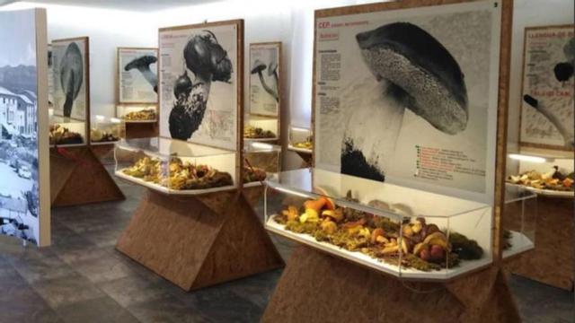 El Museu d’Art del Bolet de Montmajor | ARXIU PARTICULAR
